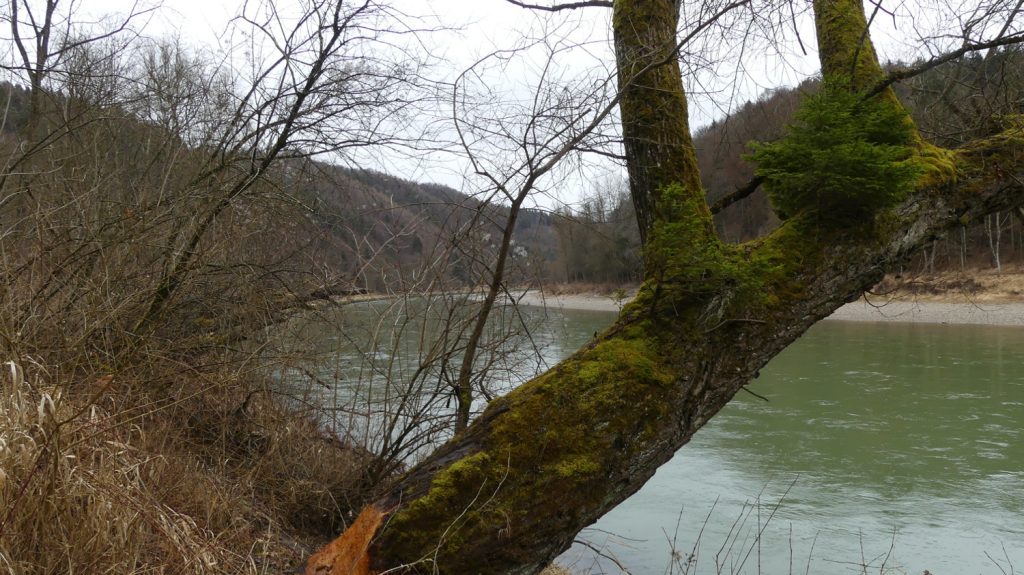 wald2